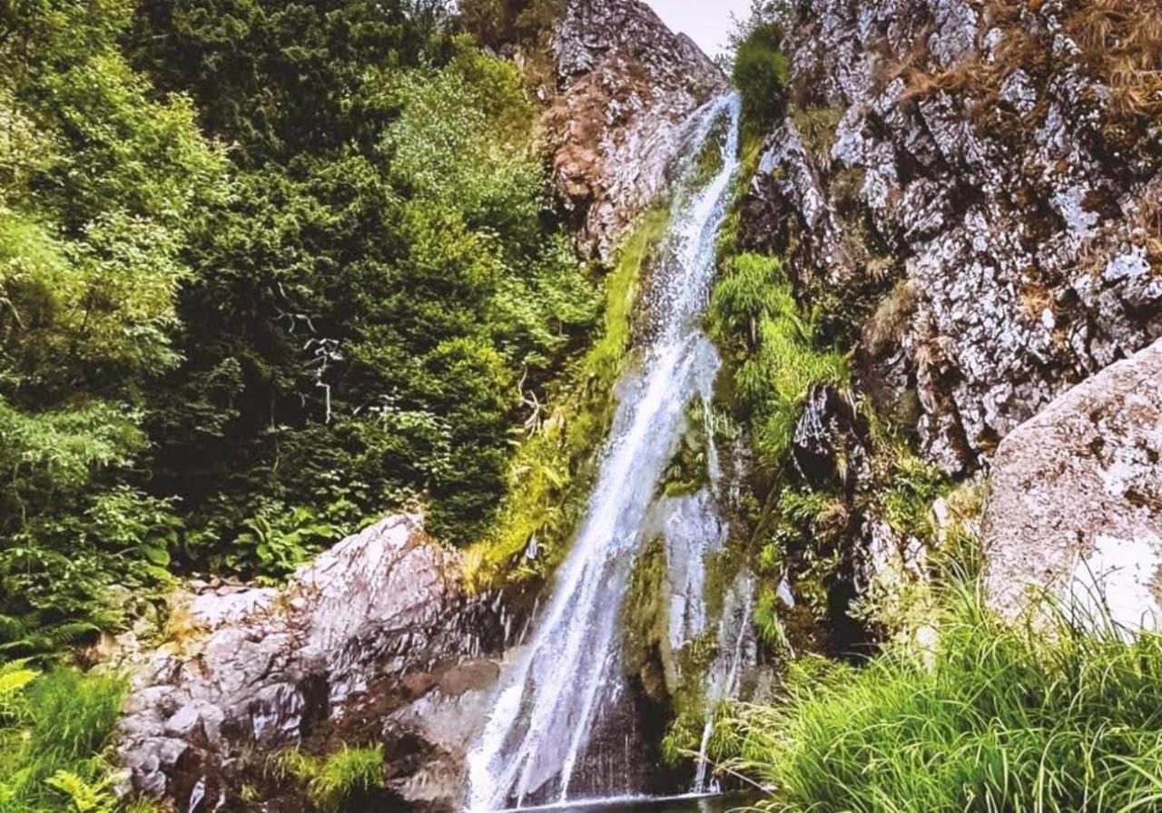 Vale Do Zezere Hotel 曼泰加什 外观 照片